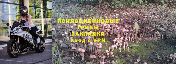 гидропоника Балабаново