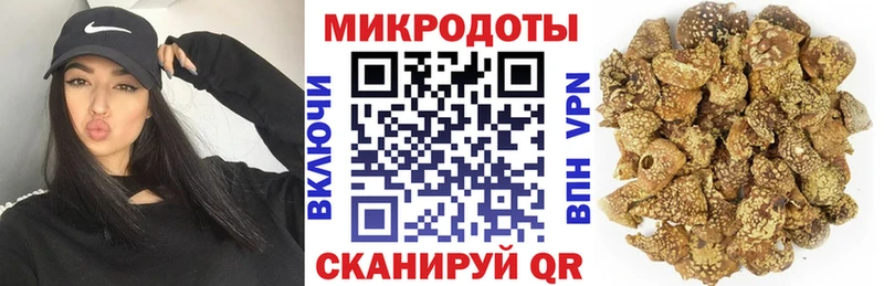 OMG ссылки  Лыткарино  Галлюциногенные грибы Psilocybe 