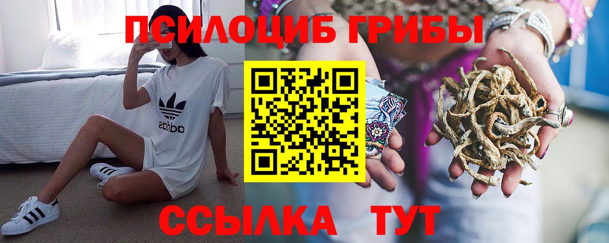 Лыткарино  Псилоцибиновые грибы MAGIC MUSHROOMS  Вход с VPN 